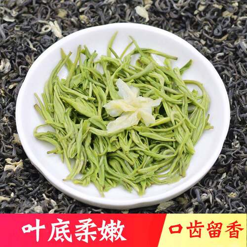 2025新茶明前蒙顶山雪芽茉莉花绿茶浓香四川茶叶250g - 图3