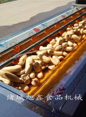 外贸出口清洗机全自动毛辊去皮清洗机商用西红柿毛桃苹果磨皮清洗