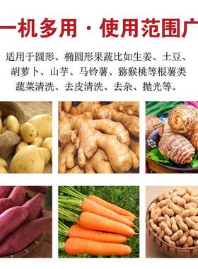 根茎类蔬菜毛辊清洗机萝卜芋头土豆毛刷式清洗去皮机净菜去皮设备