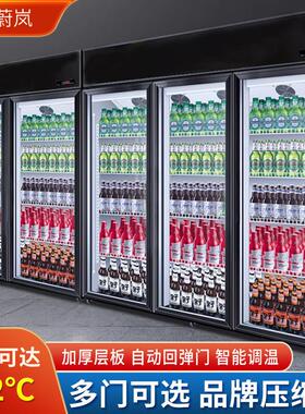 立式冷冻柜超市单门冰柜肉制品双门冰箱便利店商用水饺汤圆速冻柜