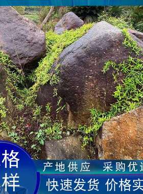 坪天然野山石绿庭院野山石造驳景花园地草点hss009缀石假山流溪岸