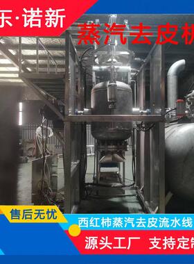 苹果蒸汽去皮机南瓜等果蔬脱皮设备西红柿深加工流水线