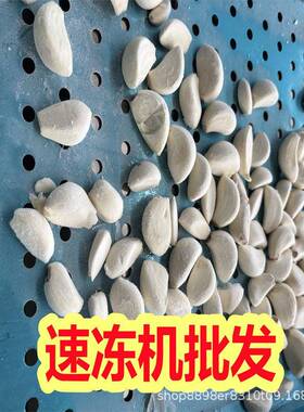 源桦方风冷体速冻设备冬瓜处理流水线冬瓜块速冻机器