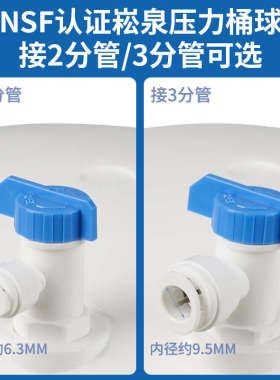 泉通用直饮水桶桶配件家用储.压力崧水罐2g纯水机台湾蓄3净水器