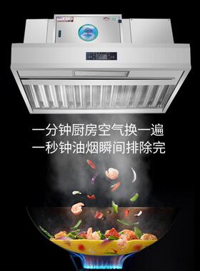 油烟净化一体机油烟净化器商用厨房餐饮油烟机无管道一体净化排烟