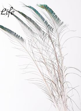 天然真孔雀羽毛翎尾大眼睛客厅摆件落地花瓶插花花器装饰拍摄道具