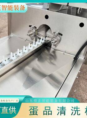 诸城鸡蛋鸭蛋清洗机排保洁蛋清洗设备鸡蛋清洗光检喷码一体机