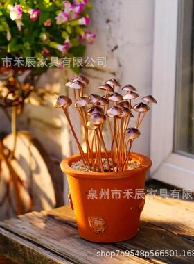 跨境意金花属植物坪蘑菇庭院草装饰FOF蘑菇地插家居盆铁艺蘑创菇
