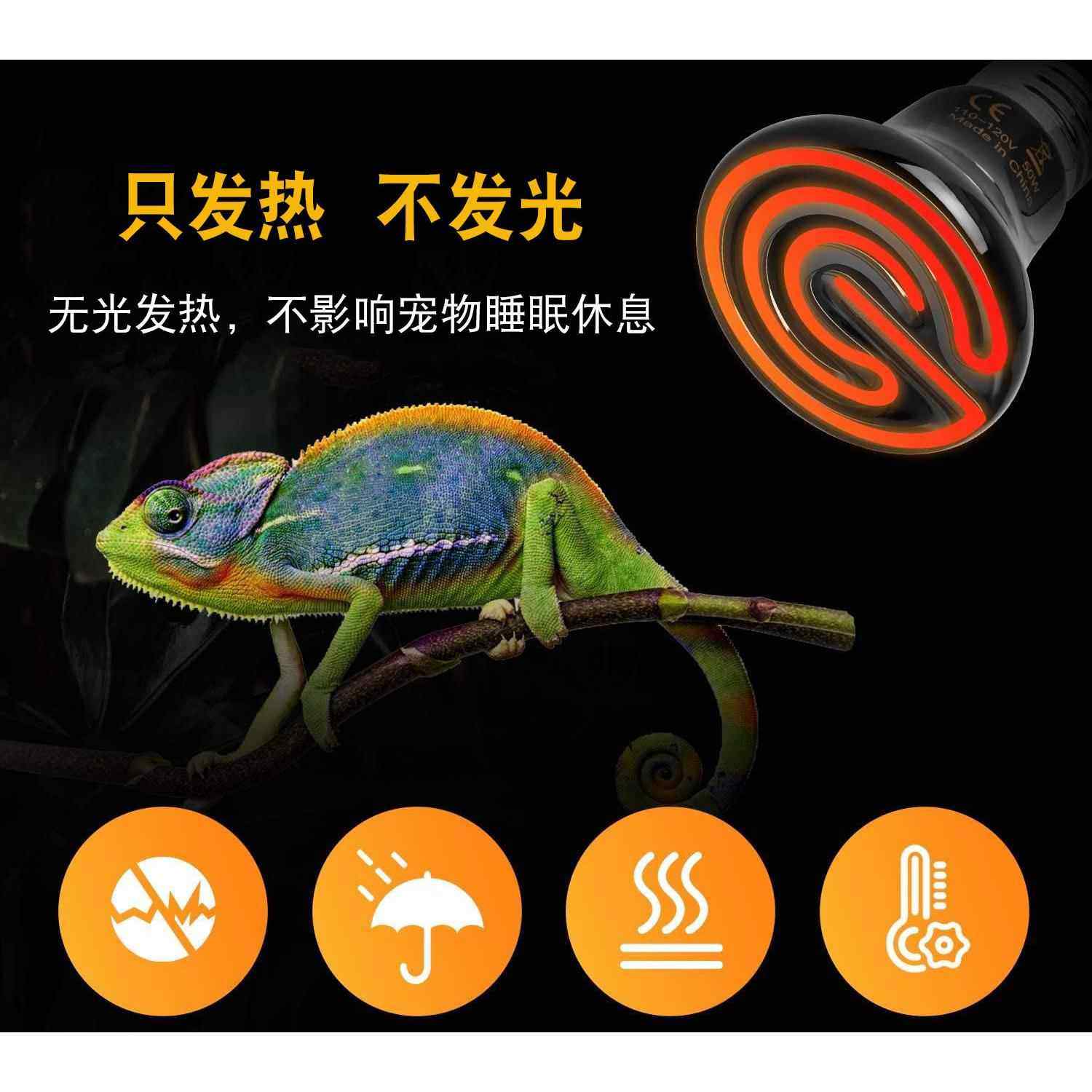 陶瓷加热灯爬宠宠物无光灯龟背爬虫陆龟蜥蜴保温灯泡鹦鹉mmV,淘宝优惠券,粉丝福利购,淘宝优惠卷