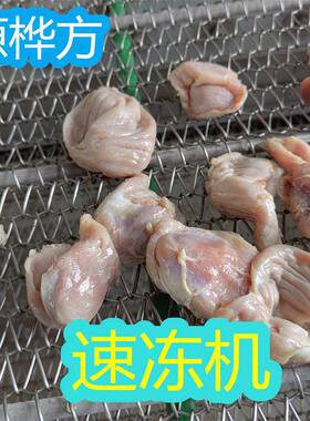 源桦方猪肉包速冻机樱桃草莓冷冻加工设备鱿鱼圈冷冻机