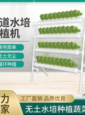 广东德力生产管道水培种植机跨境电商无土栽培阳台无土蔬菜种植机