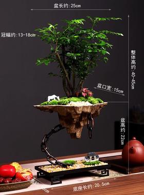 新款假植山摆件中式意迁家居桌面摆放装饰小叶紫檀绿盆景创乔开业