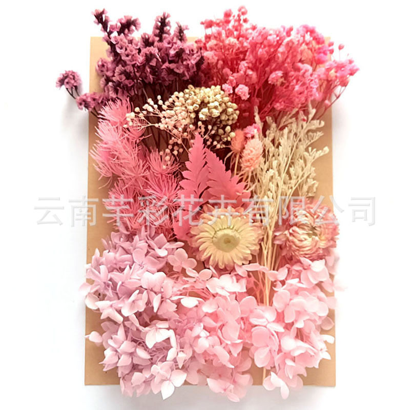 干花永生花团扇材料包A5袋装相框香薰蜡烛diy团扇花艺课花材,淘宝优惠券,粉丝福利购,淘宝优惠卷