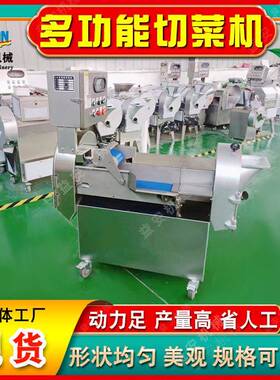 加工定制双果多功能菜机水青菜木薯姜郁益安金材头切片丝切丁条机