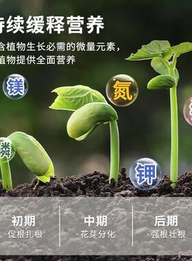蓝莓专用营养土轻质有机泥炭土发酵松针种植盆栽酸性基质通用土