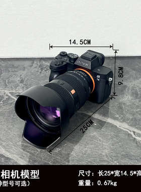 新款单反相机模型样板间别墅装饰摆件影视摄影摆拍桌面道具