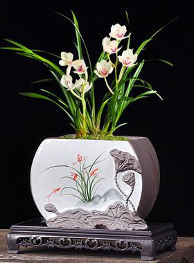 中国风家用室内桌面文竹专用大号蝴蝶兰花小榕树紫砂陶瓷多肉花盆