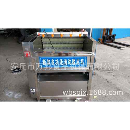 不锈钢毛辊清洗机厂家供应土豆红薯大姜清洗机根茎类果蔬清洗机 - 图0