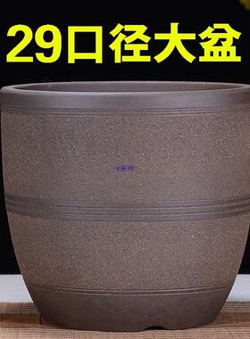 粗陶紫砂花盆大口径兰花君子兰种树阳台盆景简约陶瓷花盆