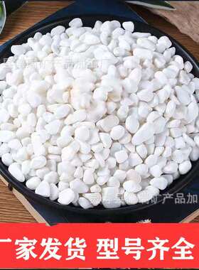 白色鹅卵石铺地庭院造景白色石头花园装饰小石子白砾石铺路白石子