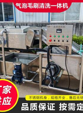 全自动果蔬气泡毛辊清洗一体机人参果气泡毛刷洗果线猕猴桃洗果机
