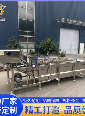 华远蒲公英连续清洗机 材人参自动冲洗机 苹果翻浪加工设备