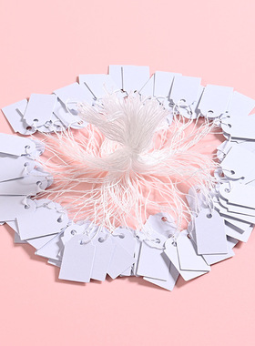 贝壳价签挂牌纸卡手写装饰摆件