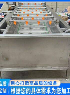 全自动蔬菜清洗机翻浪式果蔬气泡清洗机海蛎子蛤蜊自动清洗机