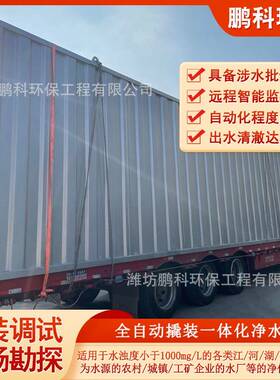 农村饮用水净水器不锈钢景观水净化设备河道治理一体化设备全自动