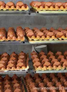 新款直销大量树脂工艺品现货库存处理和地摊货源内销外贸装饰摆件