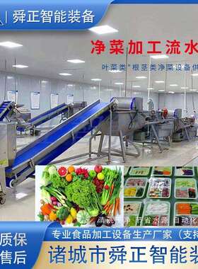 中央房洗菜MAGA-102机 预制菜净菜工清机洗设备 加果蔬气泡清洗厨