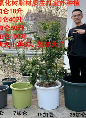 加厚特大号7/15/25四季加仑花盆树脂塑料蓝莓树月季控根青山透气