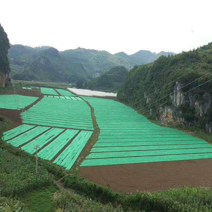 绿化不织布育苗不织布种植地膜农用薄膜蔬菜防冻保温覆盖膜透气膜,淘宝优惠券,粉丝福利购,淘宝优惠卷