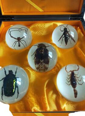 厂家直供夜光金蝉脱壳收藏品五星阵八夜光球多款工艺礼品直播货源