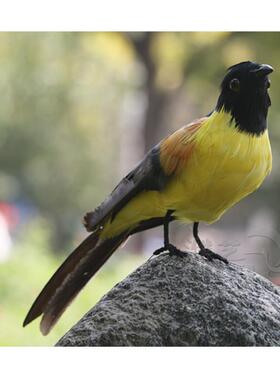 彷真羽毛蓝冠噪鹛摆件稀有鸟类装饰品模型庭院教具工艺礼品摆饰摄