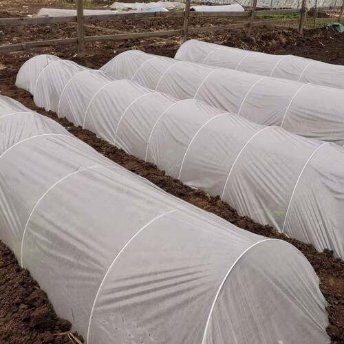 1000根大棚骨架玻璃纤维新型小拱棚支架地膜蔬菜棚拱杆玻璃钢农用 - 图1