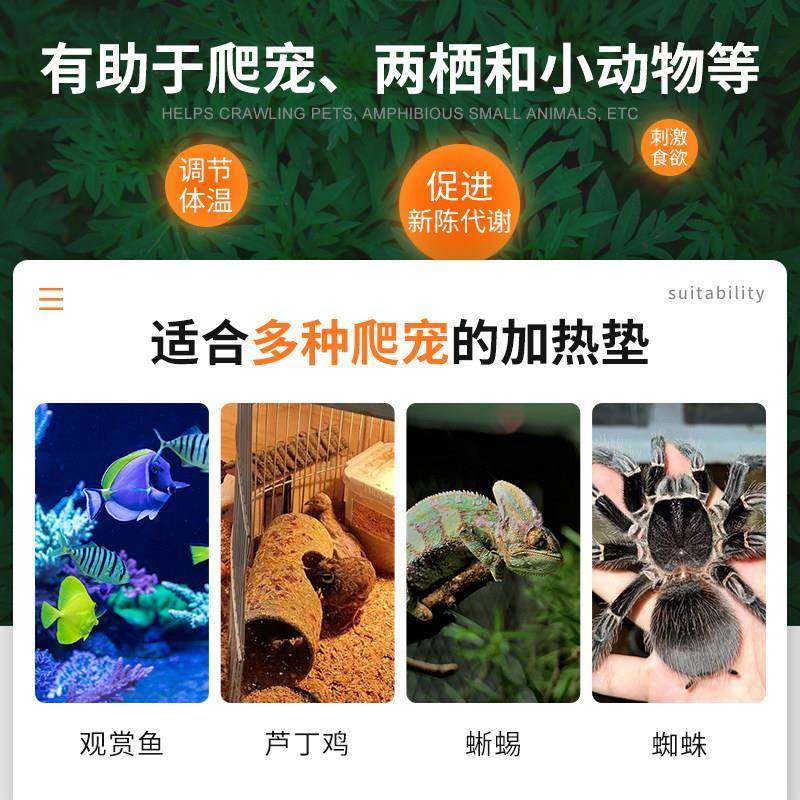 usb加热垫爬宠控温鱼缸自动恒温孵化爬虫宠物鸟温控器移动充专用,淘宝优惠券,粉丝福利购,淘宝优惠卷
