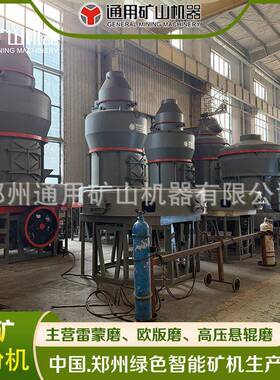 300目 雷蒙磨粉设备 生石灰 超细磨大型工业欧版磨MTW138