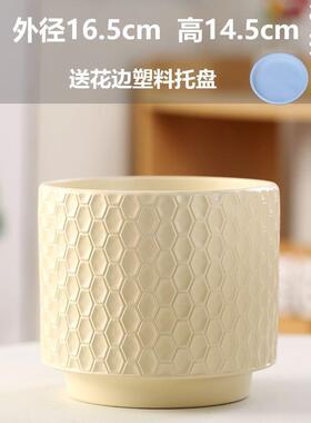 客厅花盆陶瓷轻奢高级感家用兰花绿植大号发财树蝴蝶兰专用带托盘