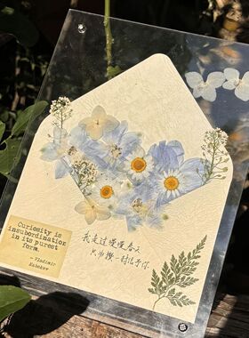 diy来信干花材料信封装饰摆件