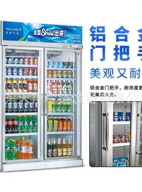 天翔冷链双开门冰柜展示柜便利店制冷冰箱风冷循环保鲜冷藏设备