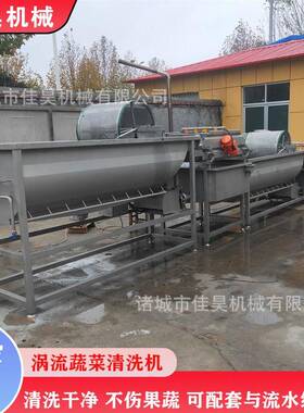 菌类清洗去杂机涡流大型清洗机厨房食堂饭店浸泡涡流清洗蔬菜设备