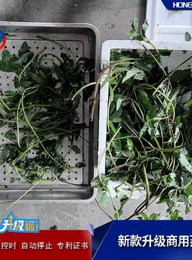 天麻大型中草药蒸箱时间温度可调蒸柜商用冷冻面食杀菌蒸房