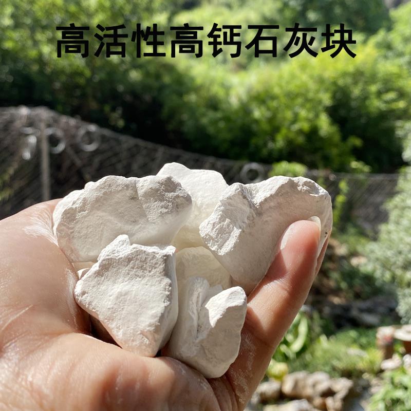 生石灰块粉10斤鱼塘消毒农用驱虫杀菌室内家用除湿防潮防霉干燥剂 - 图0