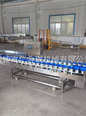 五金配件重量筛选秤生蚝重多级类量分选海鲜鱼皮带式机广合瑞称重