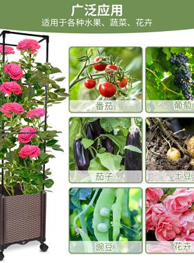 蔬菜种植箱屋顶阳台种菜盆长方形槽家庭菜园户外花盆支架阳台菜园