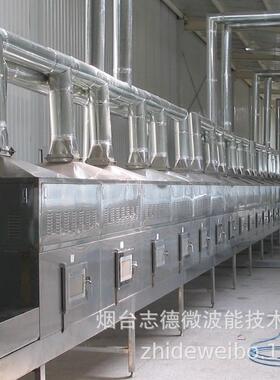 厂家直销袋装食品杀菌设备盒饭微波加热面包糠烘干设备微波干燥