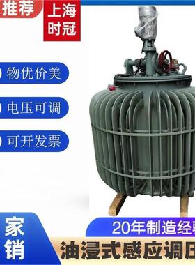三相电动调压器大功率调压器感应式调压器500KVA0-690V1140V可调