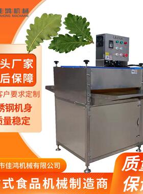 全自动粽子粽叶清洗机 苇叶箬竹叶冬叶循环清洗机 洗粽叶机器佳鸿
