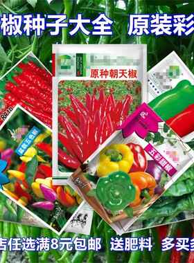 蔬菜种子四季阳台盆栽番茄黄瓜生菜小葱萝卜籽孑大全香葱菜籽黄心